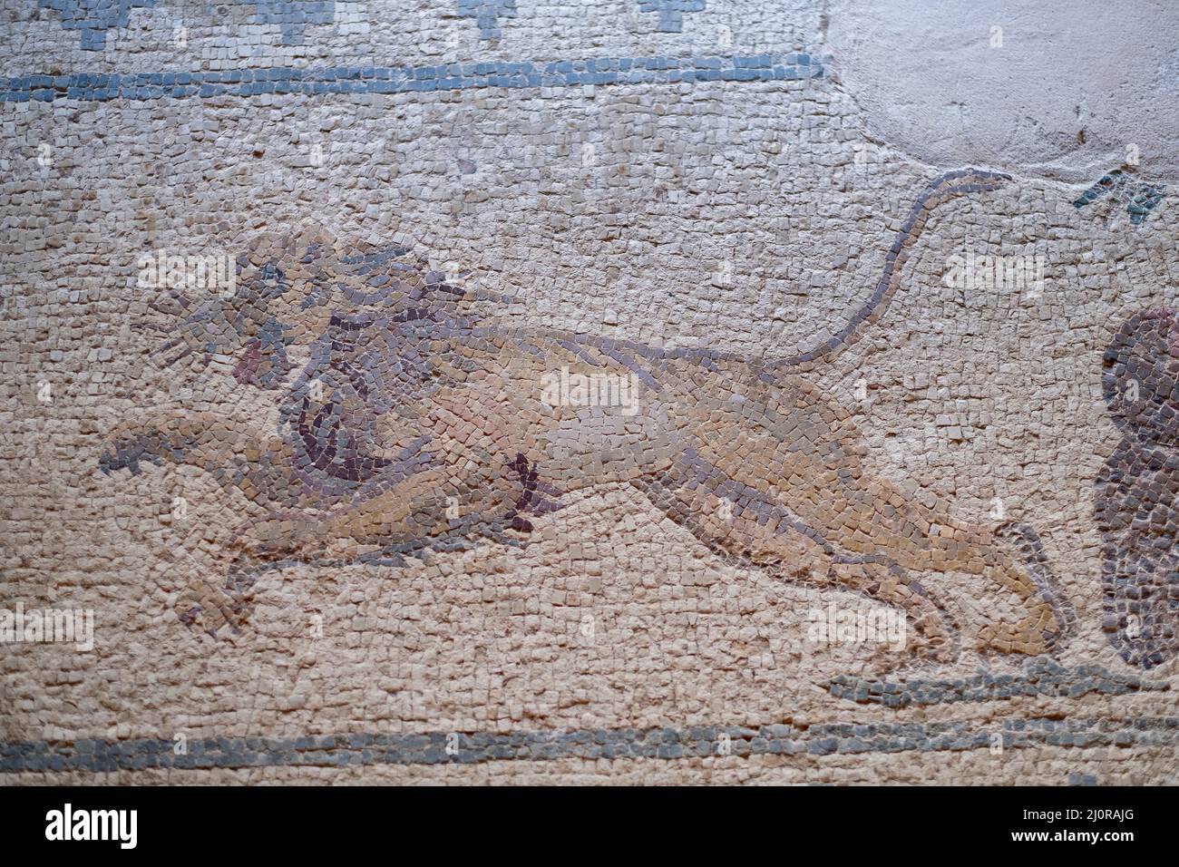 Maison de Dionysos, Paphos, Chypre: Scène de chasse mosaïque romaine sol un lion de charge. Banque D'Images