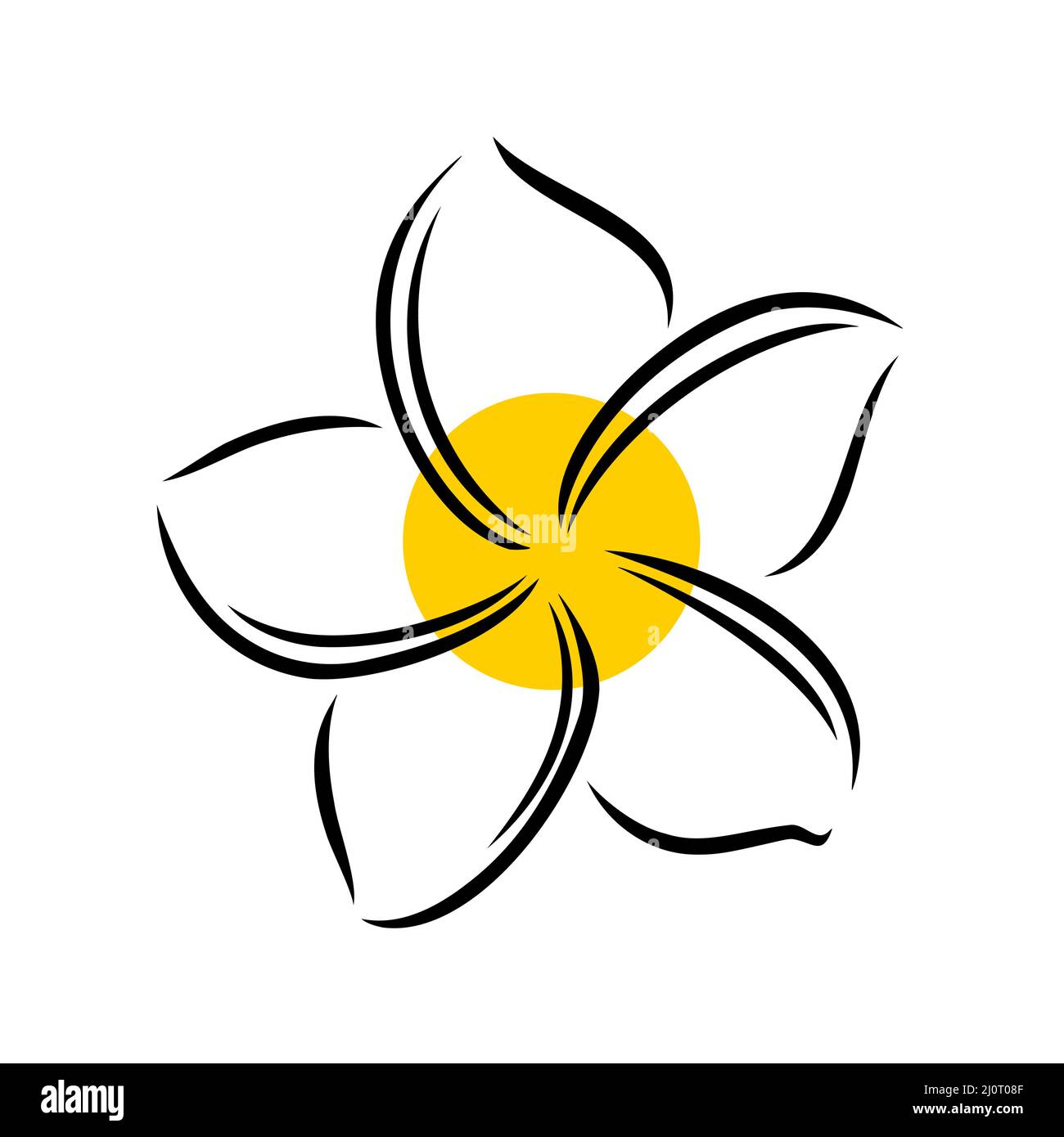 Frangipani ou plumeria fleurs exotiques d'été.Frangipani gravé isolé sur fond blanc.Illustration vectorielle Illustration de Vecteur