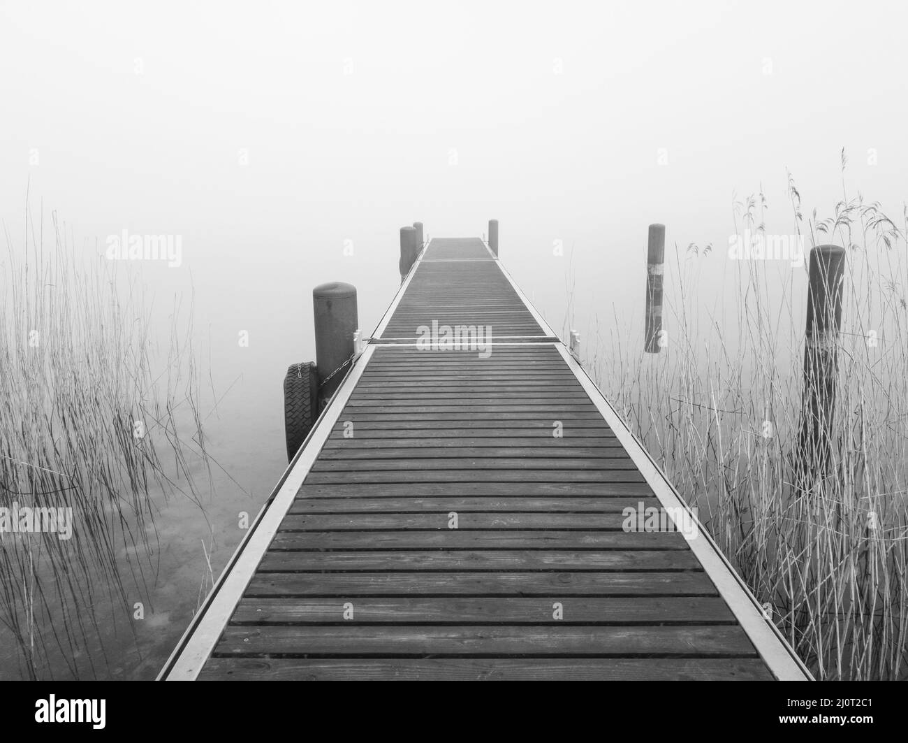 La jetée sur le lac brumeux, dans des tons de gris Banque D'Images