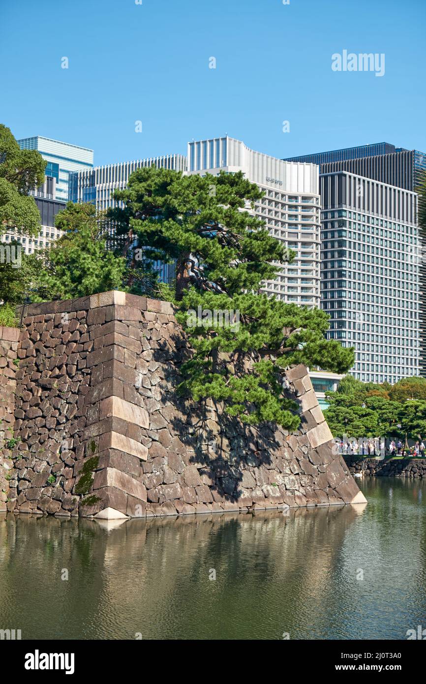 Vieux murs en pierre du château d'Edo entouré de douves avec des bâtiments modernes sur fond. Tokyo. Japon Banque D'Images