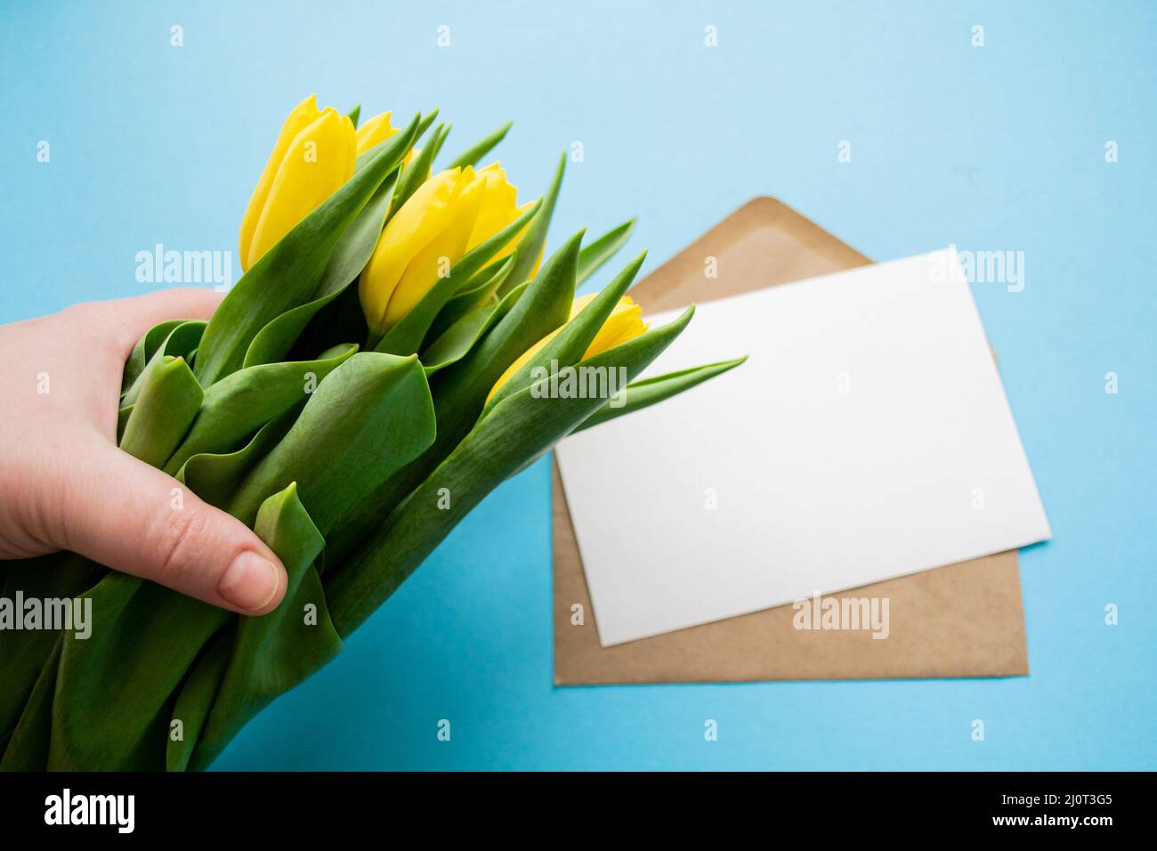 Main contient un bouquet de tulipes jaunes. Lettre vide pour le texte sur fond bleu. Cadeaux et salutations. Banque D'Images