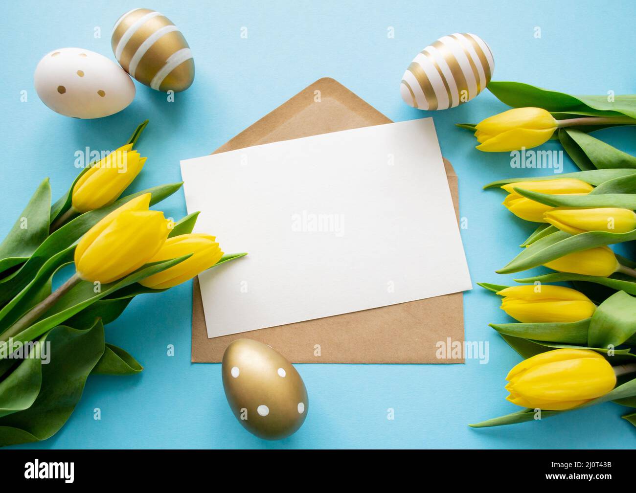 Vœux de Pâques : tulipes jaunes, œufs dorés et blancs sur fond bleu. Une lettre avec un espace de copie. Vacances de printemps. Banque D'Images