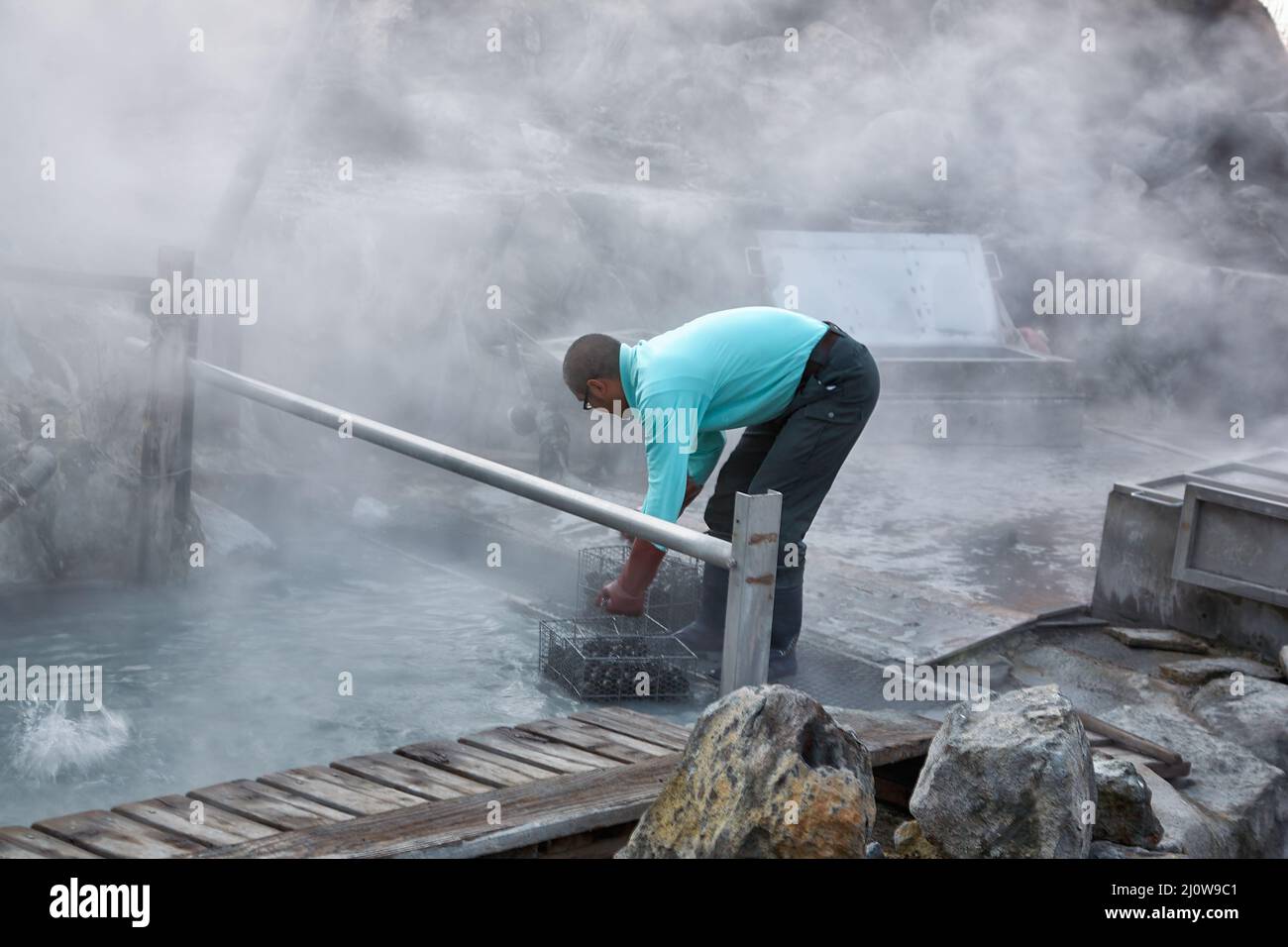 Préparation d'oeufs noirs dans les sources chaudes de la vallée volcanique, Owakudani. Hakone. HHonshu. Japon Banque D'Images