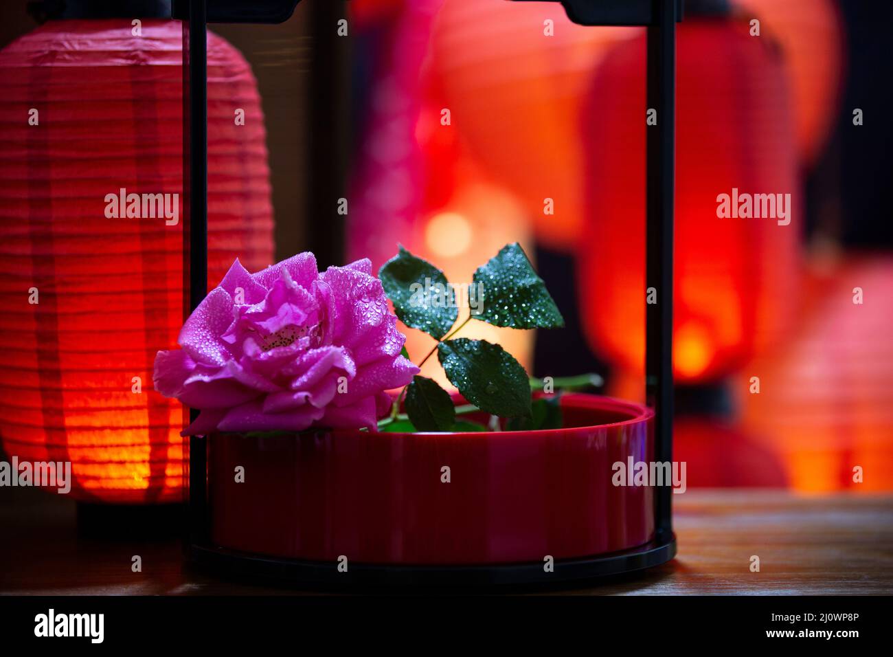 Culture chinoise, fleur et lanterne rouge chinoise Banque D'Images