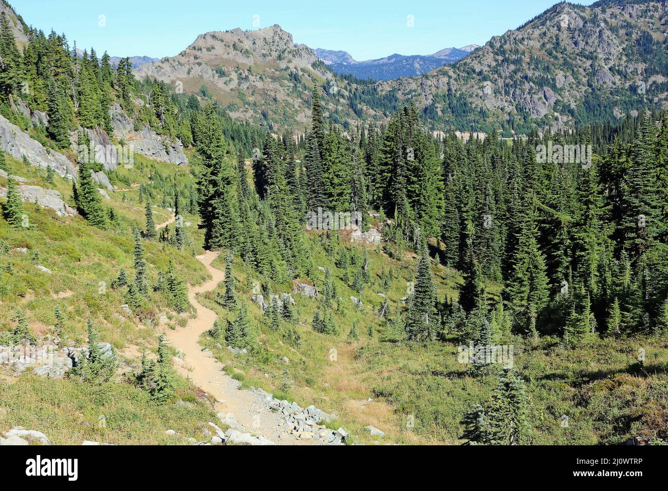 Pacific Crest Trail - Parc national du Mont Rainier, Washington Banque D'Images