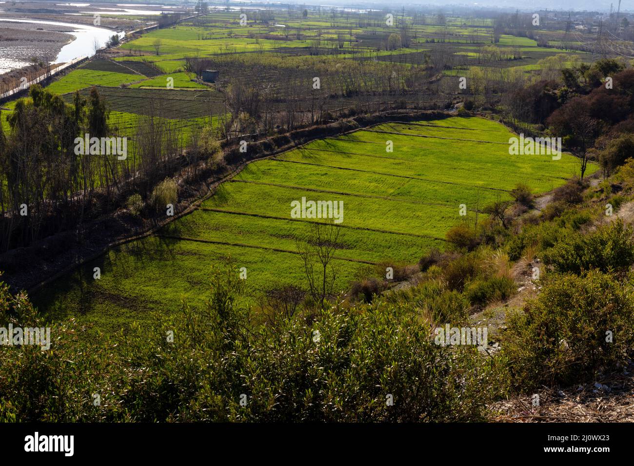 Magnifique paysage de champs verdoyants vue panoramique depuis la colline Banque D'Images