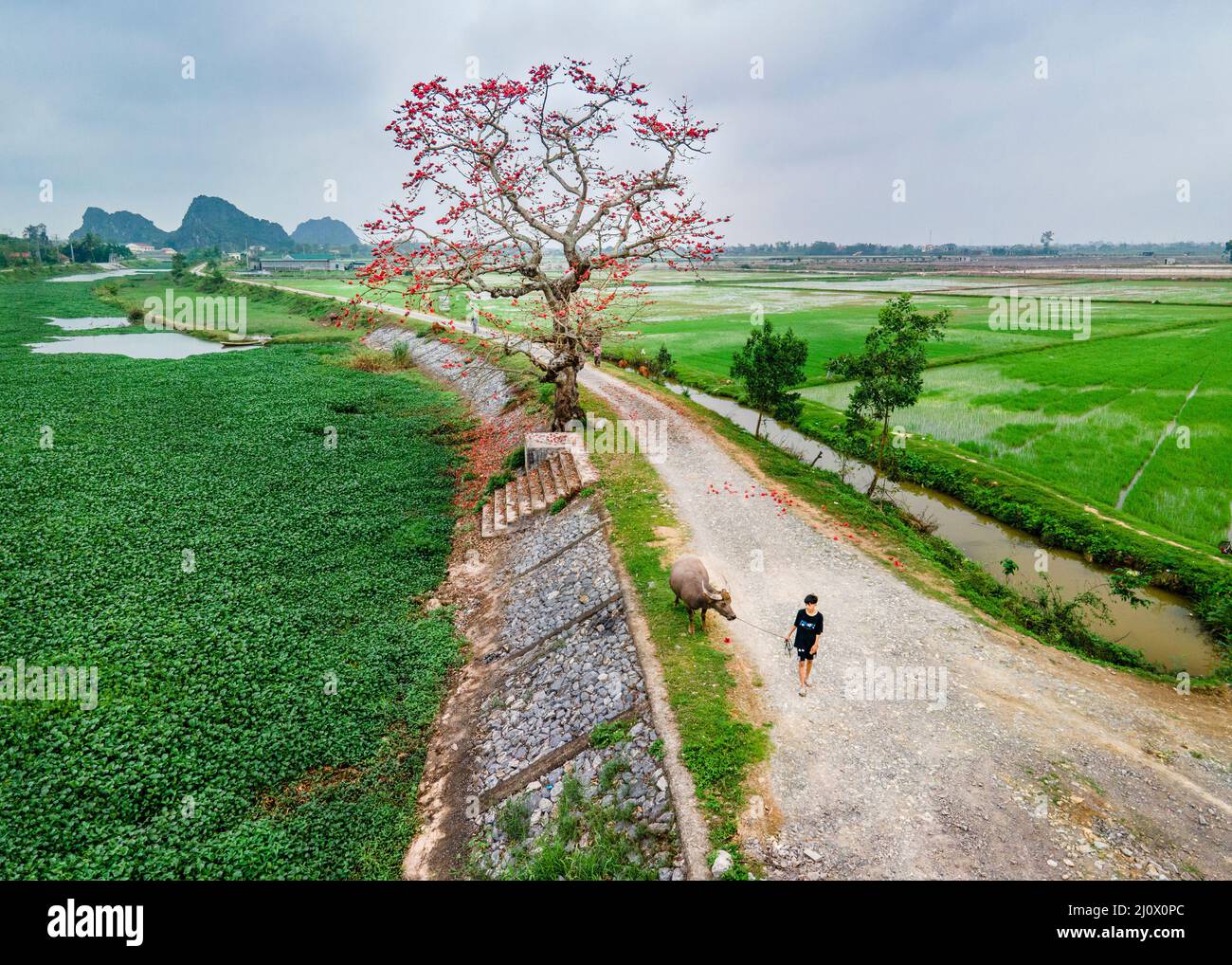 Très beau paysage à la campagne Banque D'Images