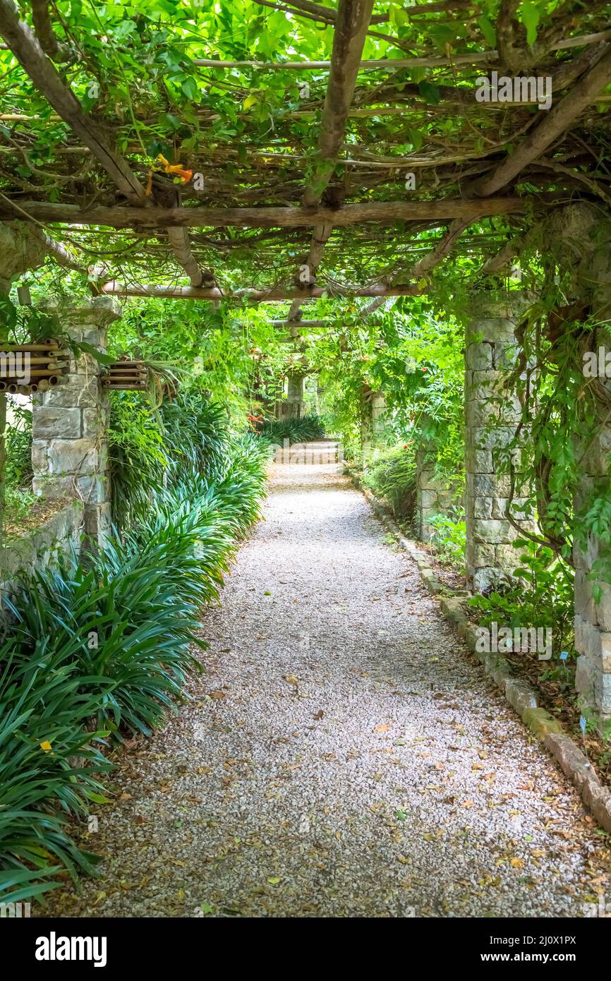 Jardin avec structure de Pergola en été. Architecture et design inspirés par la nature. Banque D'Images