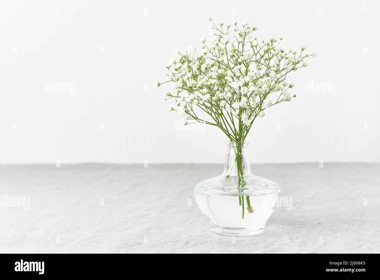 Fleurs de Gypsophila dans un vase en verre. Lumière douce, minimalisme scandinave, Banque D'Images