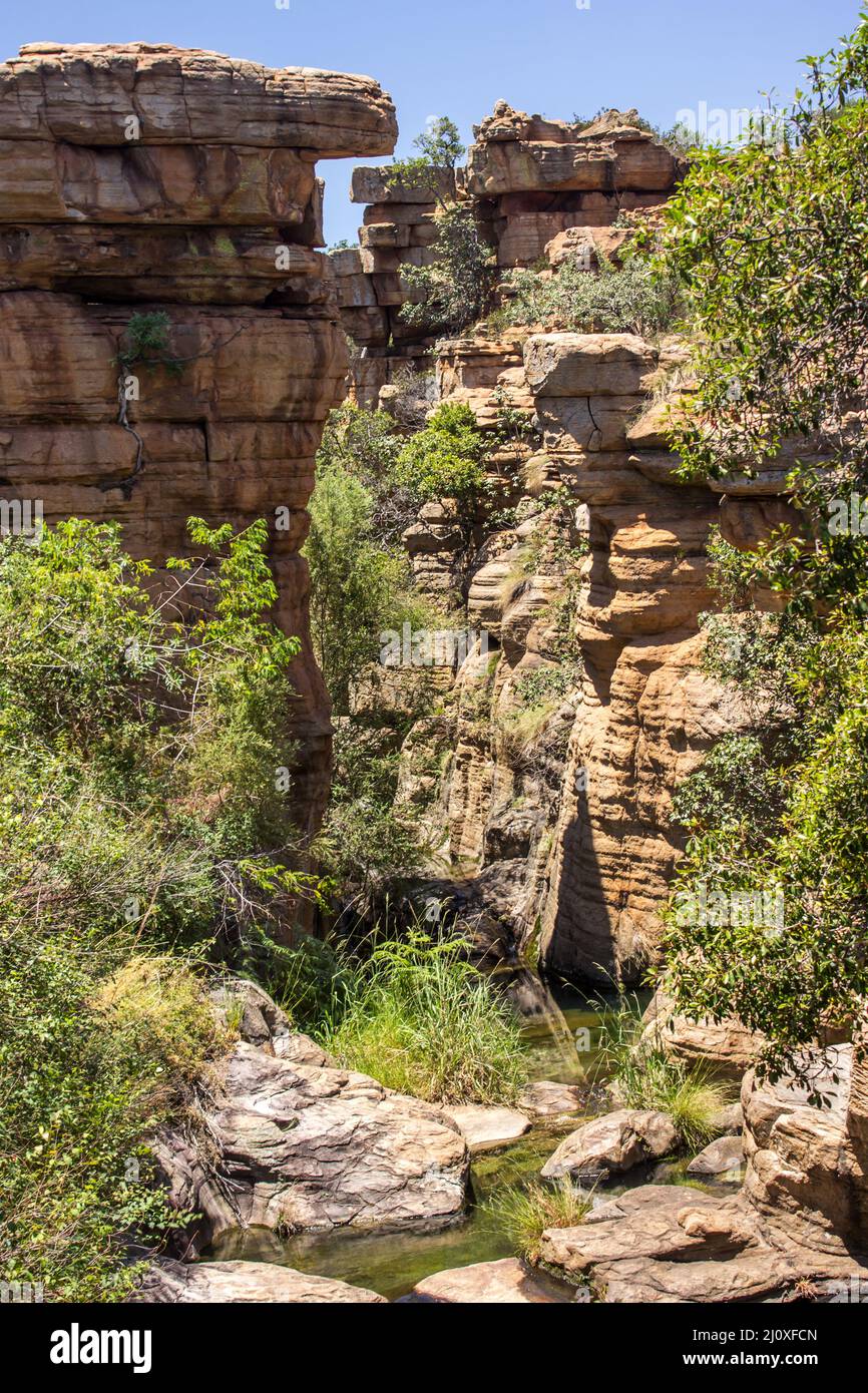 Un ravin étroit, entre les falaises abruptes de quartzite dans les montagnes de Magaliesberg en Afrique du Sud Banque D'Images