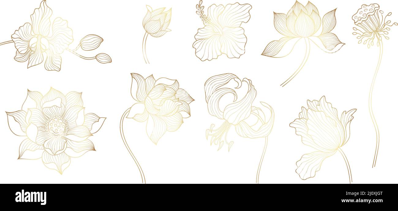 Fleurs dorées. Lotus doré asiatique, éléments d'art fleuris de yoga. Fleur indienne, orchidée et feuilles. Ensemble vectoriel de plantes exotiques orientales Illustration de Vecteur
