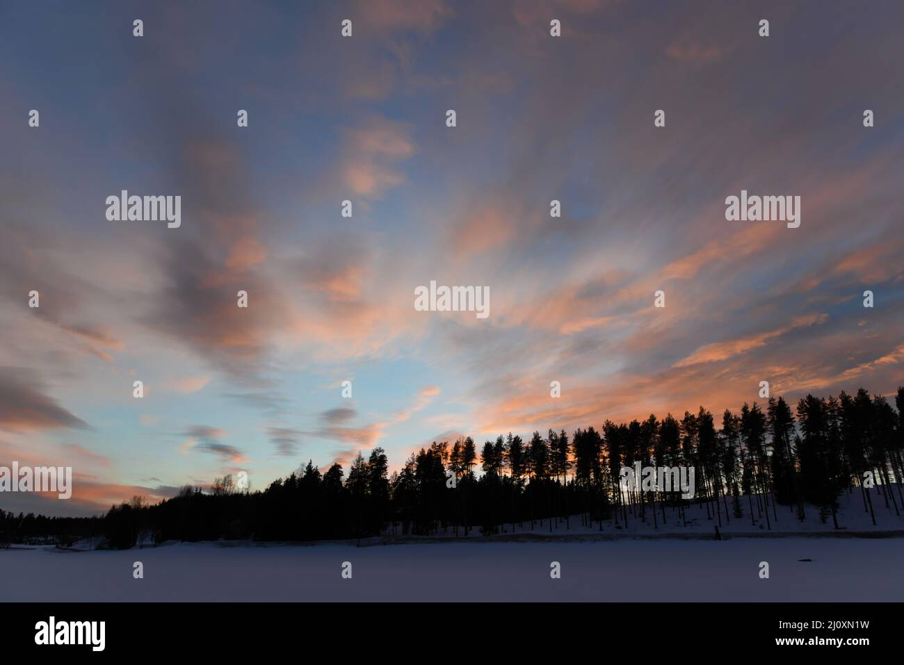Photo aérienne de forêt enneigée au coucher du soleil à Vantaa Banque D'Images