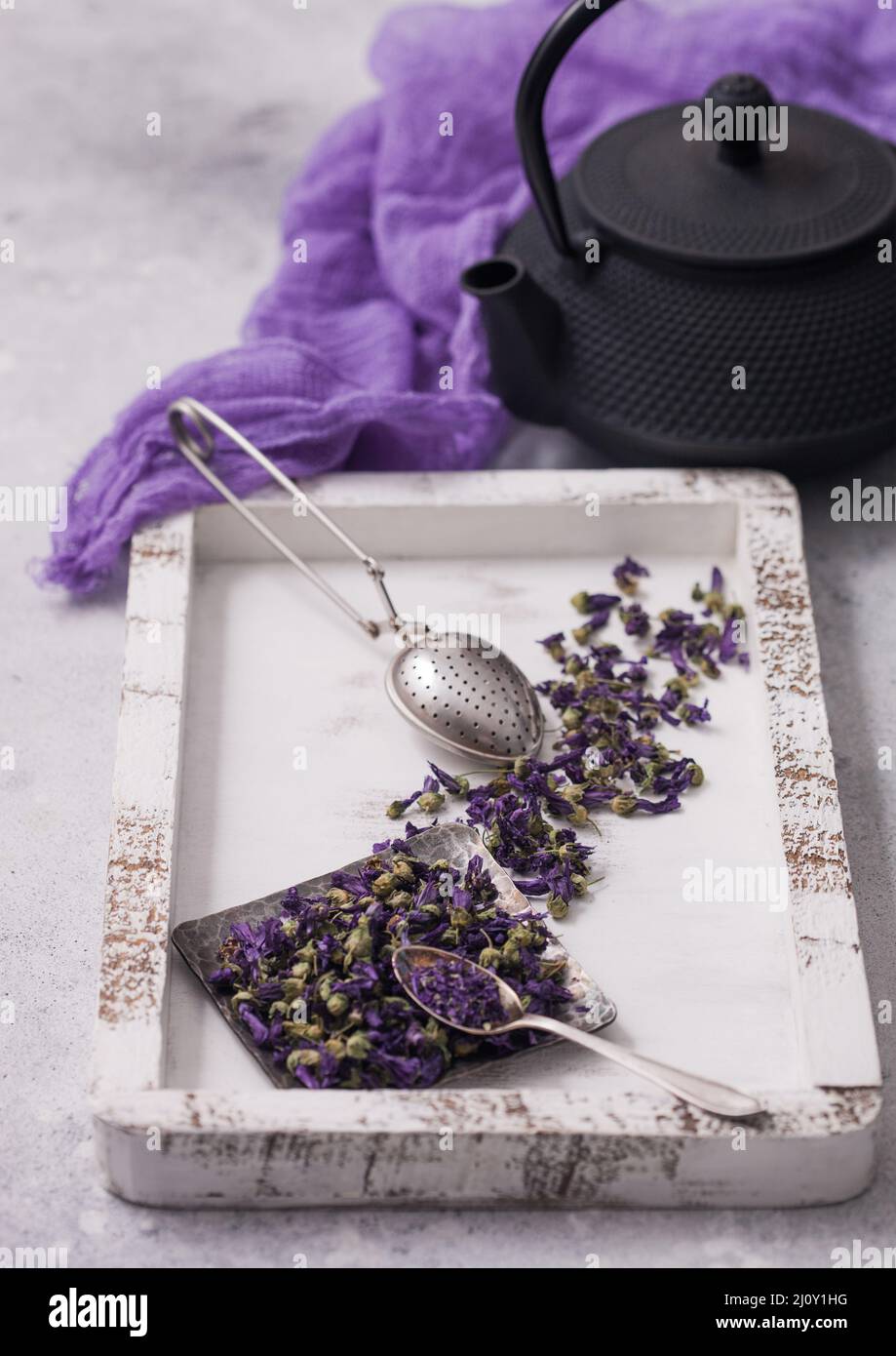 Fleurs en mégots bleues thé en plaque d'acier avec infuseur de passoire vintage dans une boîte en bois avec théière et tissu violet sur fond blanc. Banque D'Images