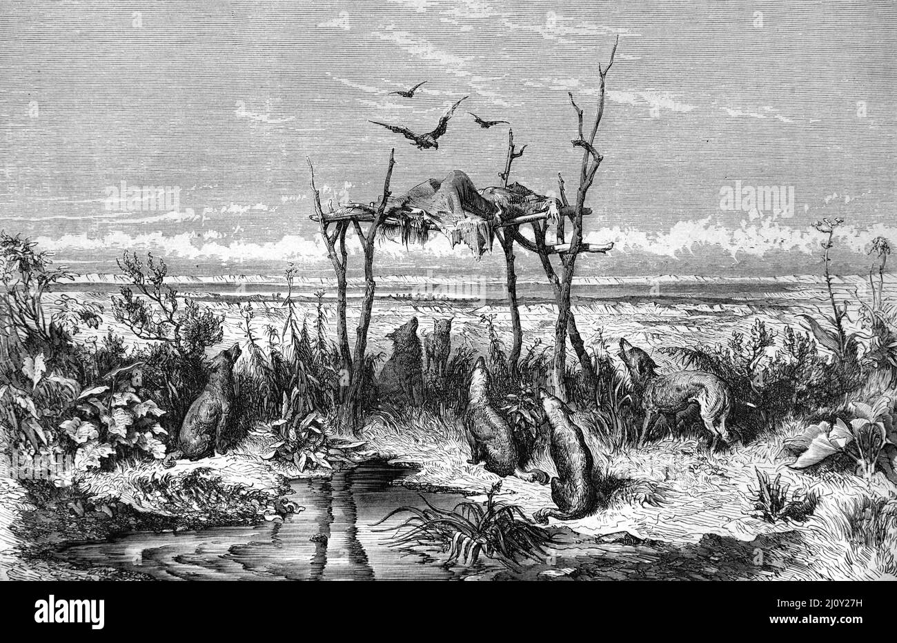 Ciel Burial ou tombes australiennes des peuples autochtones du désert ou de l'Outback de l'Australie. Illustration ancienne ou gravure 1860. Banque D'Images