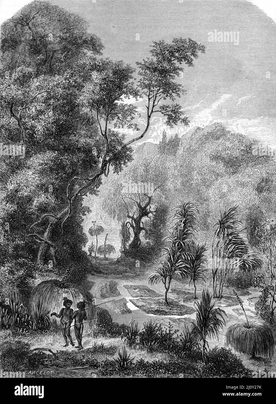 Tombes australiennes d'Autochtones dans la forêt Australie. Illustration ancienne ou gravure 1860. Banque D'Images