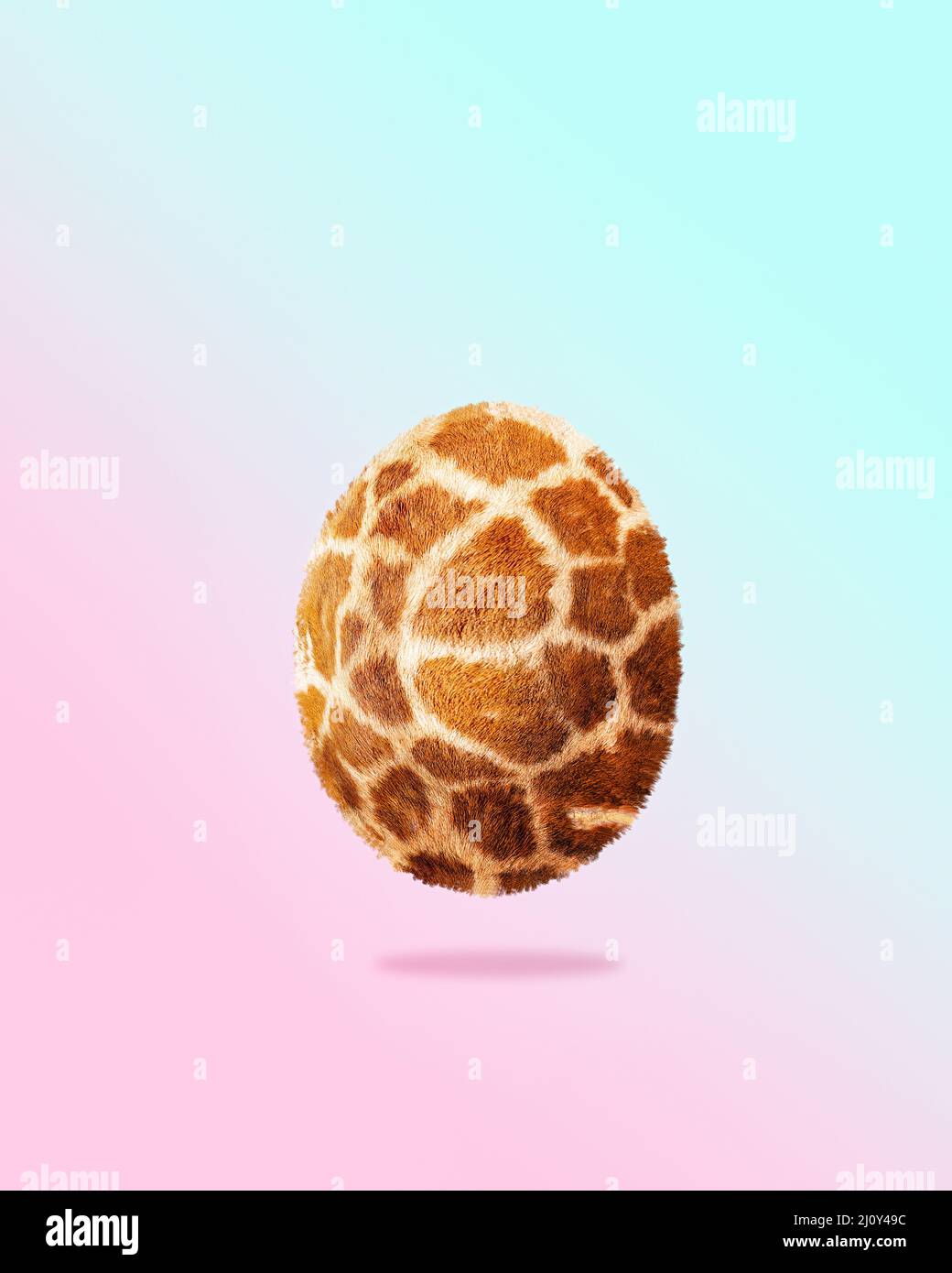 Concept de Pâques créatif de l'œuf imprimé girafe animal. Œuf gagnant de mode sur fond pastel. Banque D'Images