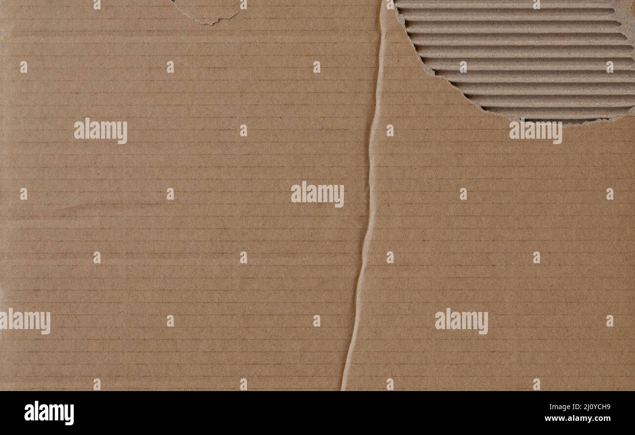 Texture de carton usée avec pli et partie déchirée Banque D'Images