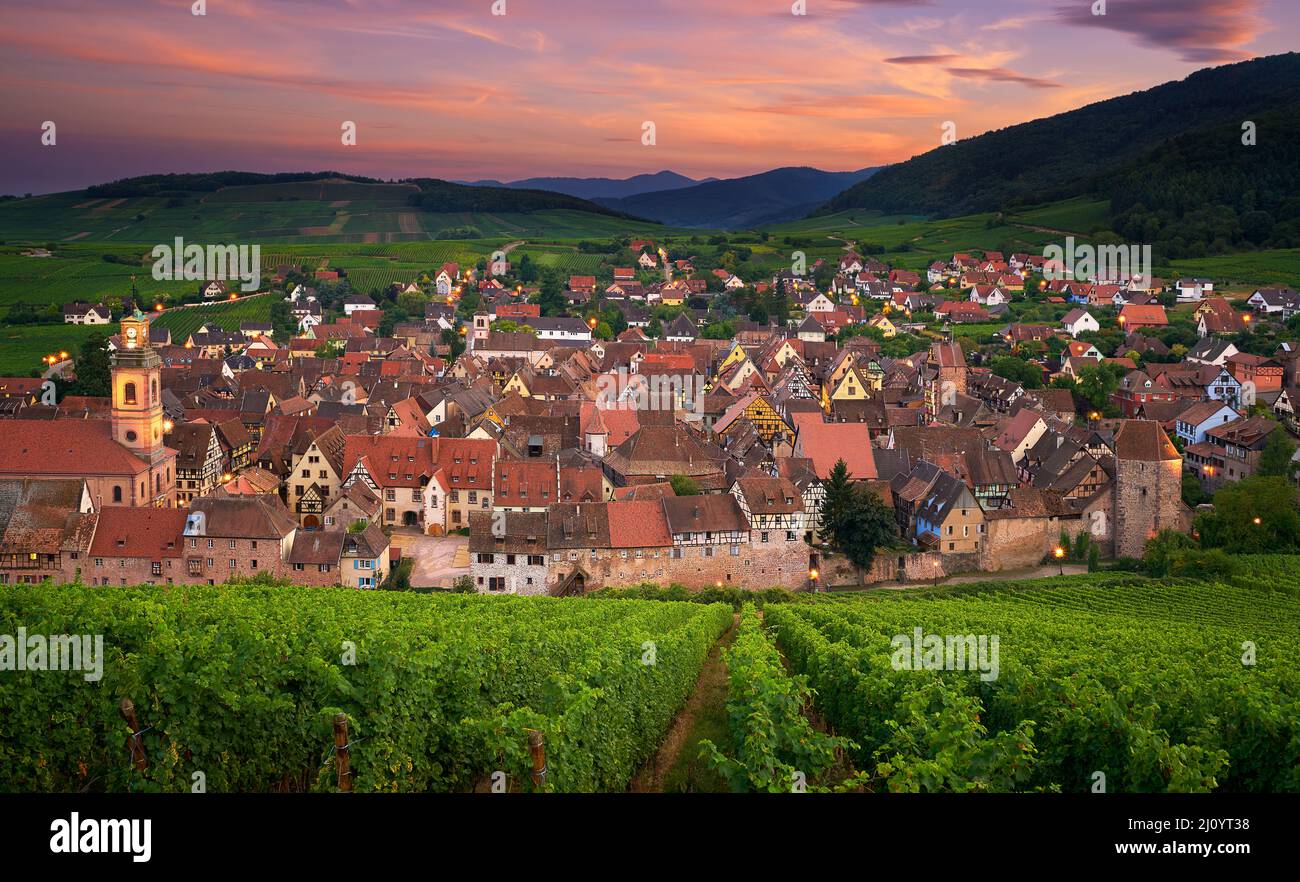 Vue sur Riquewihr depuis le sommet de la colline avec un vignoble au premier plan Banque D'Images