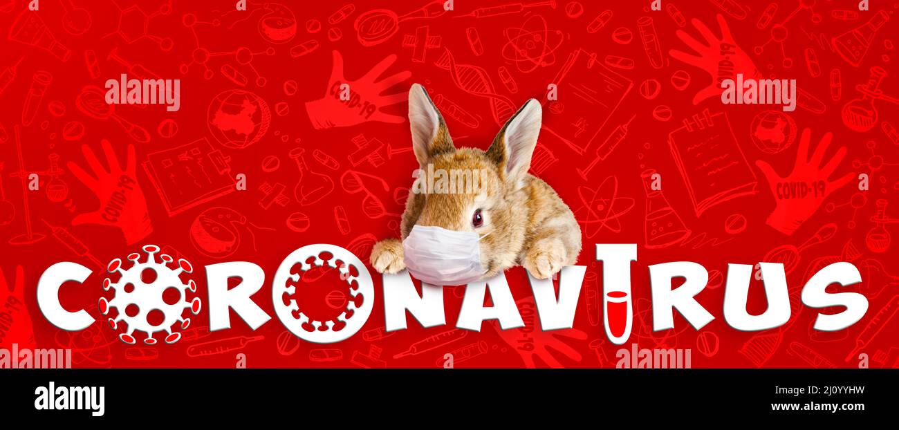 Lapin de Pâques avec masque médical au moment de l'épidémie Banque D'Images