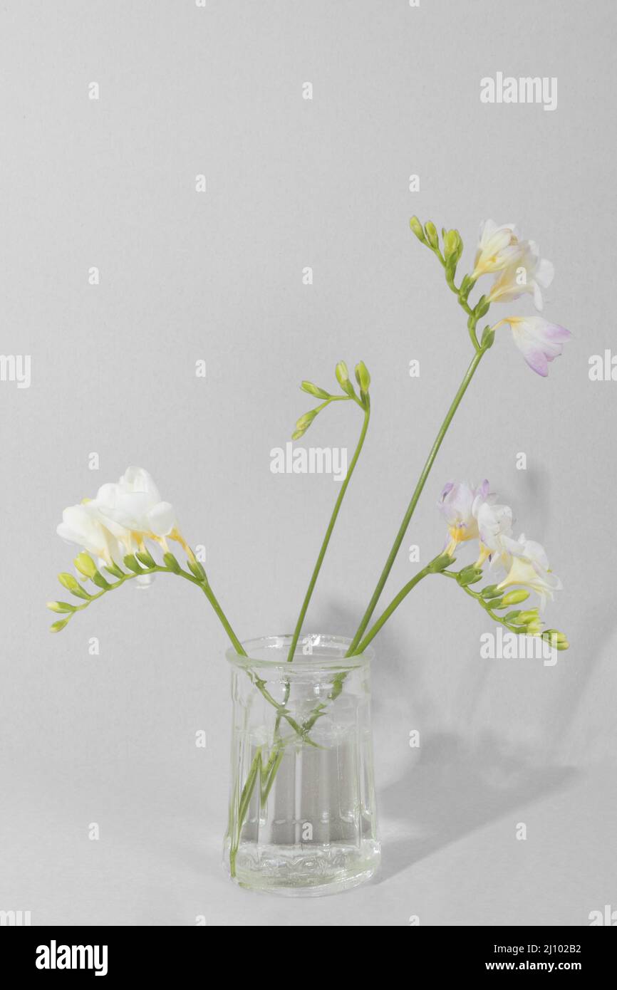 Vase fleurs tableau 1 Banque D'Images