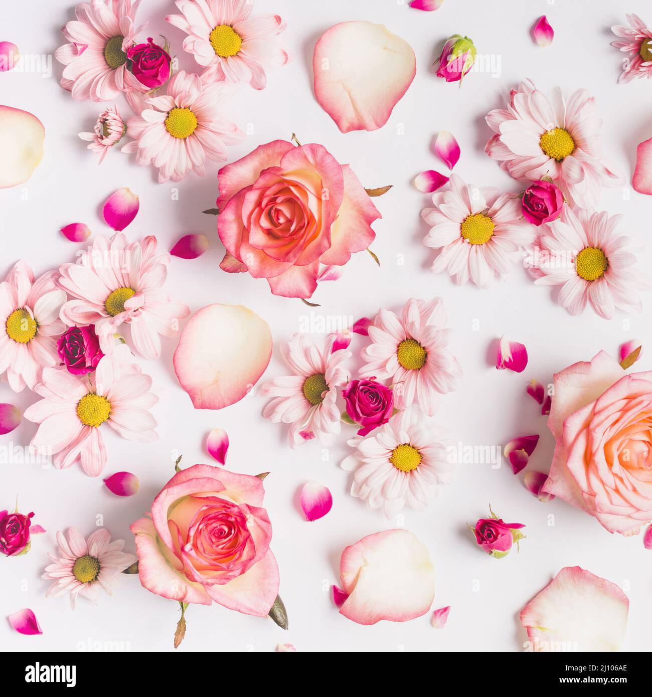 Pétales de fleurs diverses Banque D'Images