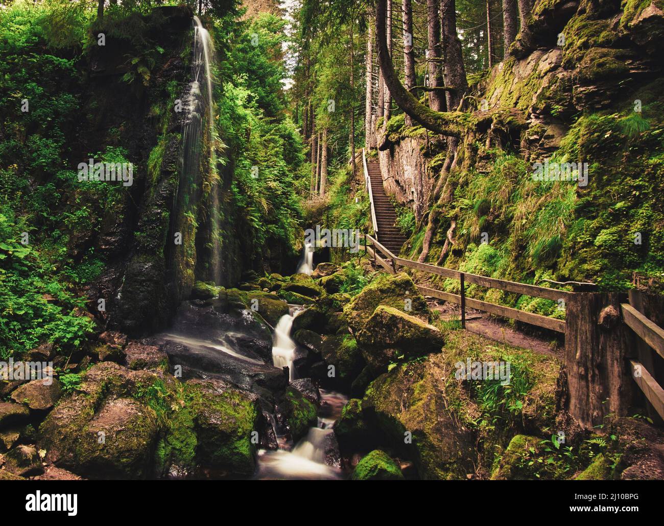 Cascade dans la Forêt-Noire en allemand Banque D'Images