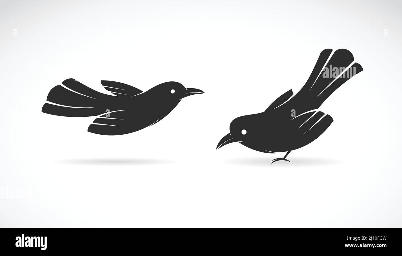 Image vectorielle de l'oiseau sur fond blanc. Illustration vectorielle superposée facile à modifier. Illustration de Vecteur