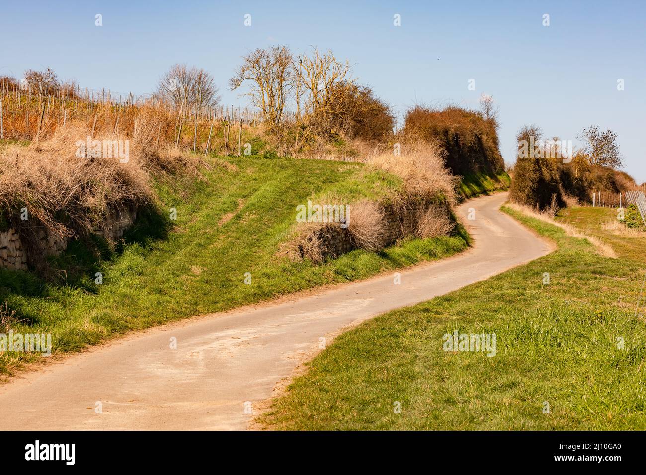 Une route de terre avec de l'herbe et des buissons mène vers le haut d'une colline, l'Allemagne Banque D'Images Une route de terre avec de l'herbe et des buissons mène vers le haut d'une colline, l'Allemagne Banque D'Images
