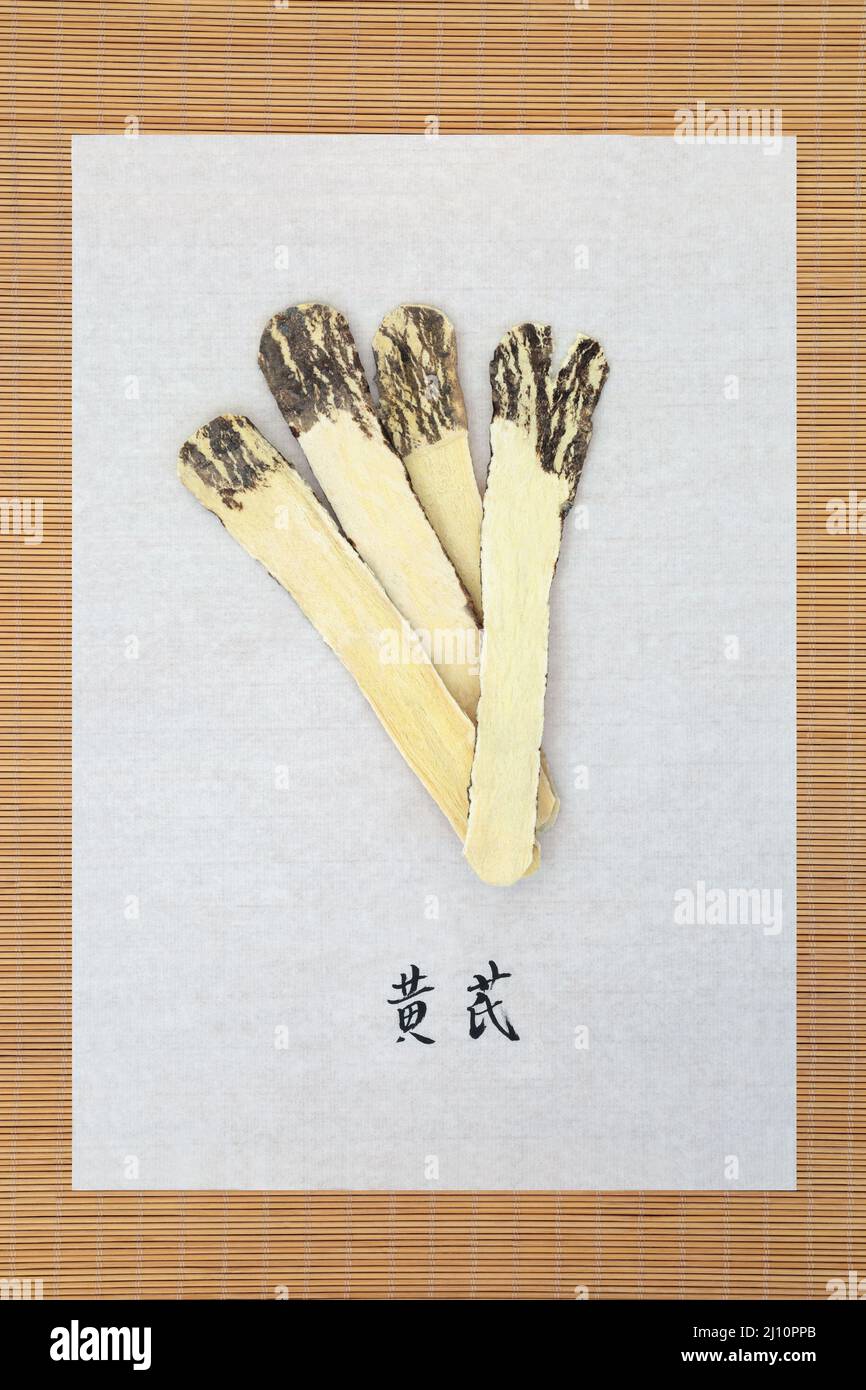 Racine d'herbes d'Astragalus avec calligraphie script sur le papier de riz utilisé en médecine chinoise de fines herbes pour stimuler le système immunitaire, est anti vieillissement, anti inflammatoire. Banque D'Images