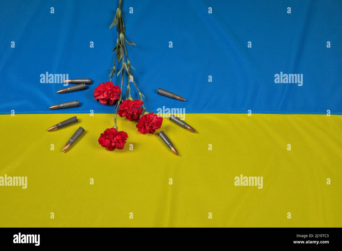 Fleur rouge (entourée de munitions de 7,62 x 39 mm pour le fusil Kalashnikov) située sur un drapeau ukrainien Banque D'Images