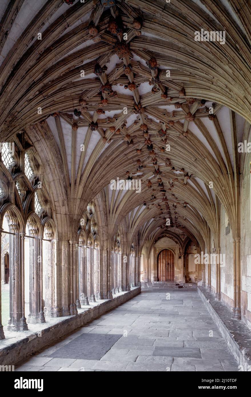 Canterbury, Kathedrale, Kreuzgang Banque D'Images