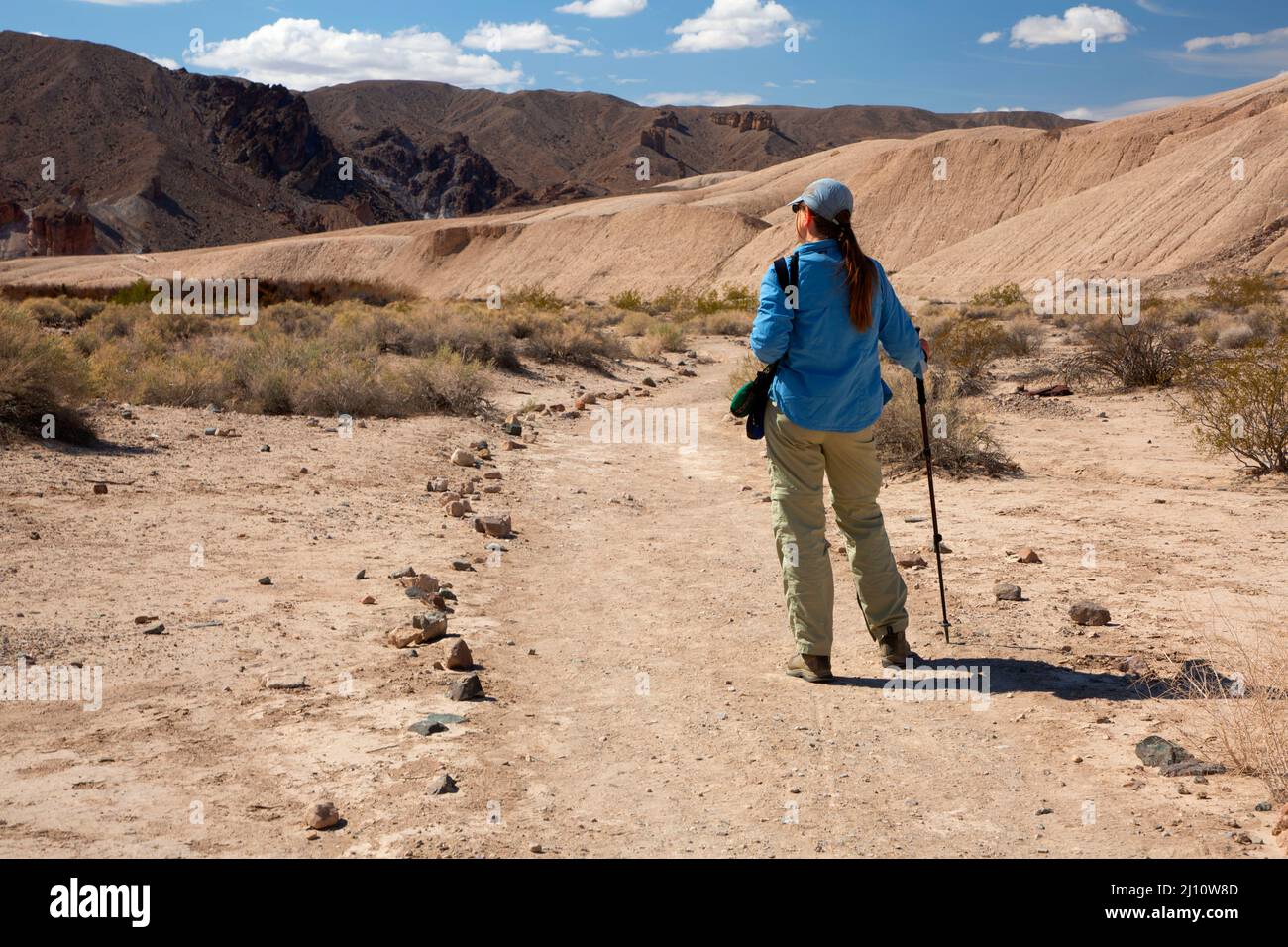 Sentier de la rivière Amargosa, aire naturelle de la rivière Amargosa, Bureau de gestion des terres de Barstow, Californie Banque D'Images