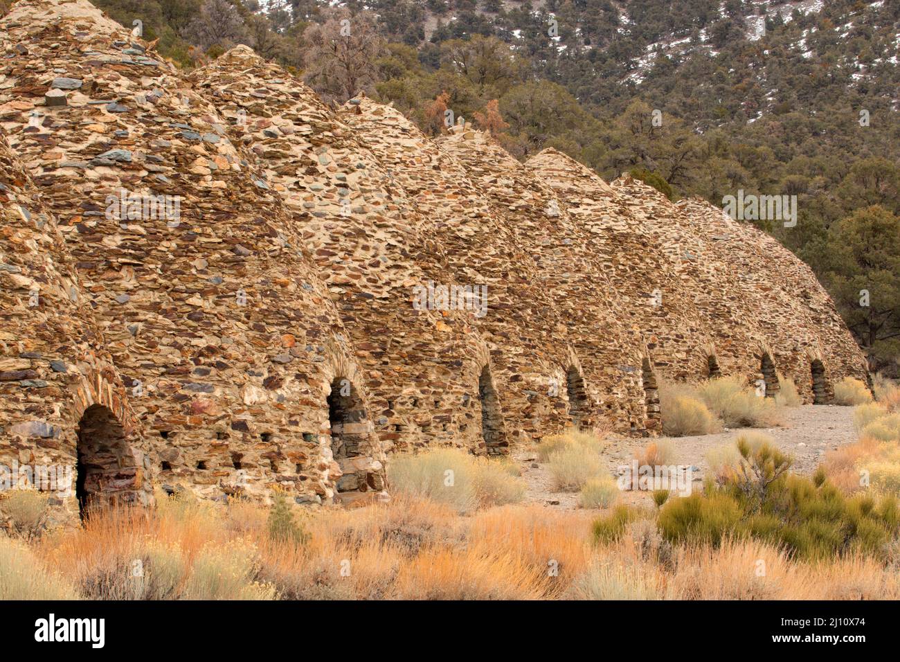 Wildrose Charcoal Kilns, parc national de la Vallée de la mort, Californie Banque D'Images
