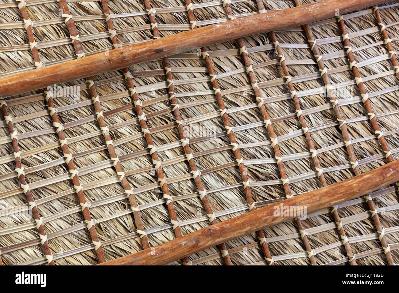 Détails internes du toit de palmier, cadre de poutres non colorées et feuilles de palmier Banque D'Images