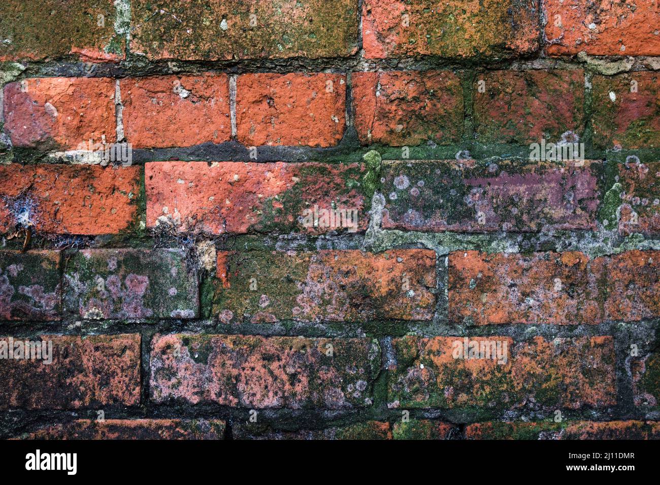 Image d'un mur de briques, pièce par pièce, brique par brique, mur, solide, Sécurisé, obstacle, arrière-plan de mur de briques, Bricks colorés, défini Banque D'Images