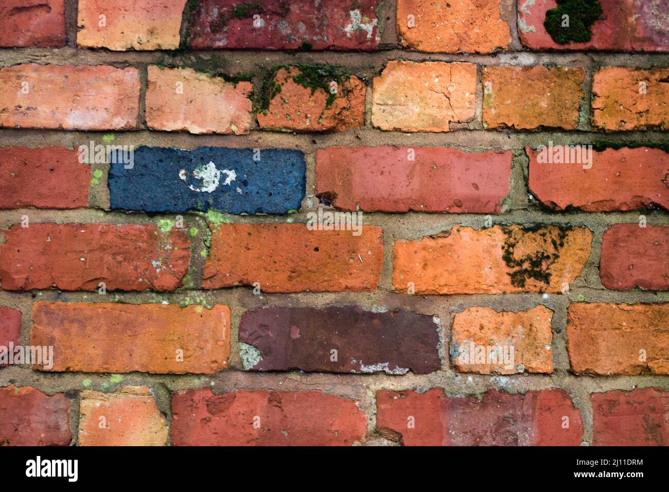 Image d'un mur de briques, pièce par pièce, brique par brique, mur, solide, Sécurisé, obstacle, arrière-plan de mur de briques, Bricks colorés, défini Banque D'Images