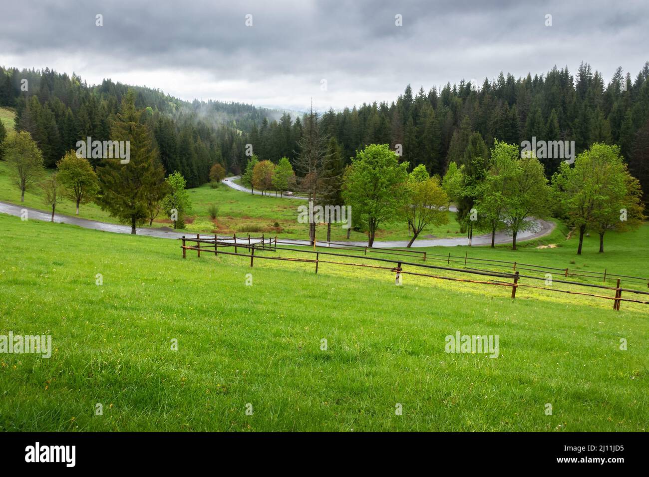 paysage de campagne par jour couvert. champ d'agriculture derrière la clôture en bois. forêt d'épicéa sur la colline herbeuse. nuages bas cachant le m éloigné Banque D'Images