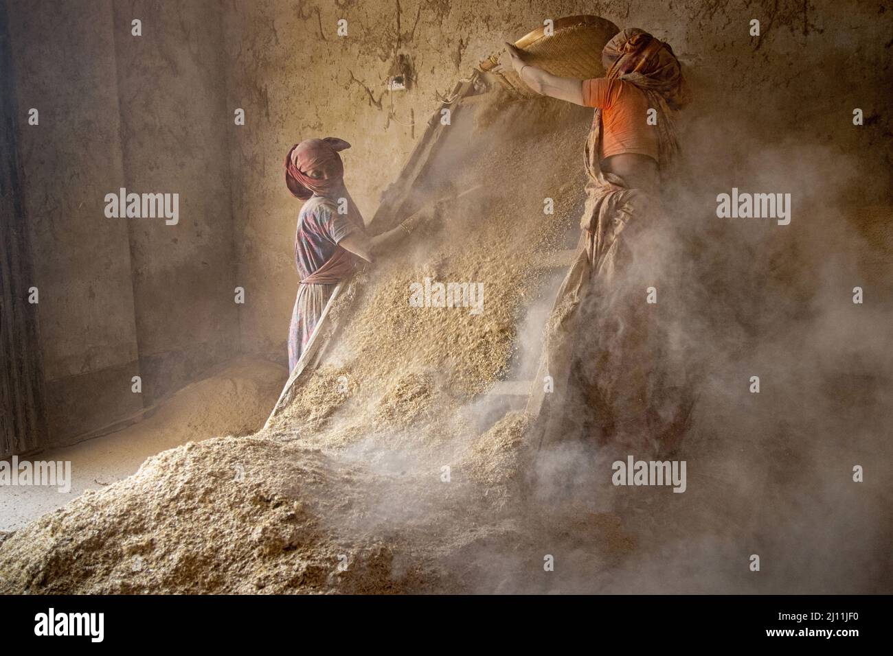 Les travailleuses sont en train de traiter du blé dans une usine de Narayanganj, au Bangladesh. Comme le blé est la deuxième culture alimentaire de base après le riz au Bangladesh, la demande est en augmentation. La production de blé au Bangladesh passe par quelques étapes de base. Au stade de la préproduction, les semences sont sélectionnées par les agriculteurs en fonction de leur rendement et de leurs variétés, puis de la récolte menant au transport et au stockage. Ensuite, le blé importé est apporté et conservé dans les entrepôts. Après cela, le blé est traité dans des moulins de différentes manières dont l'un est de filtrer la saleté à l'aide d'un grand bois Banque D'Images