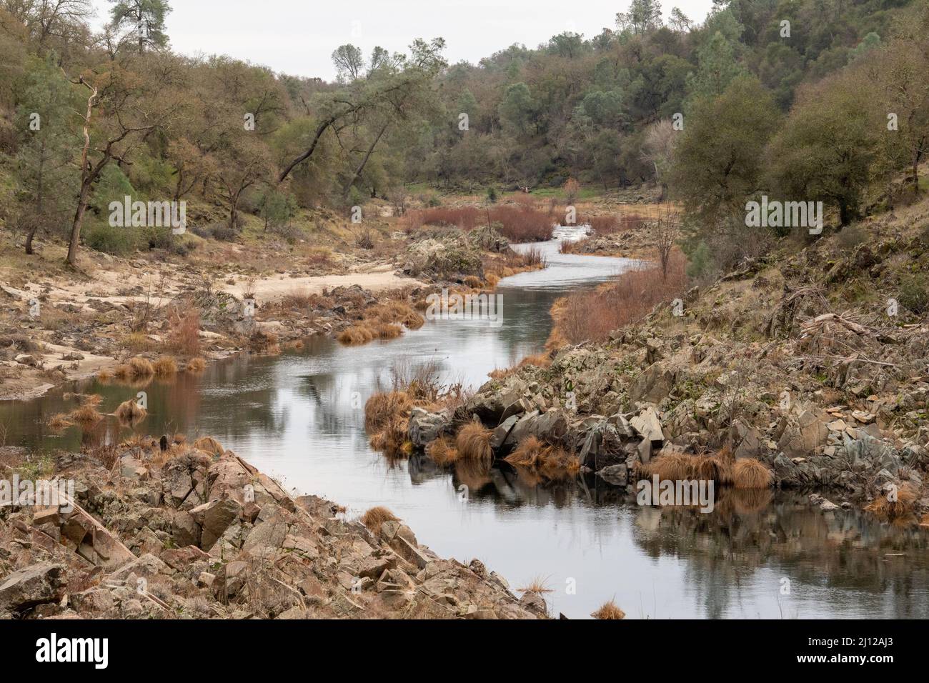 L'herbe séchée le long de la rivière Cosumnes est tombée par les eaux d'inondation Banque D'Images