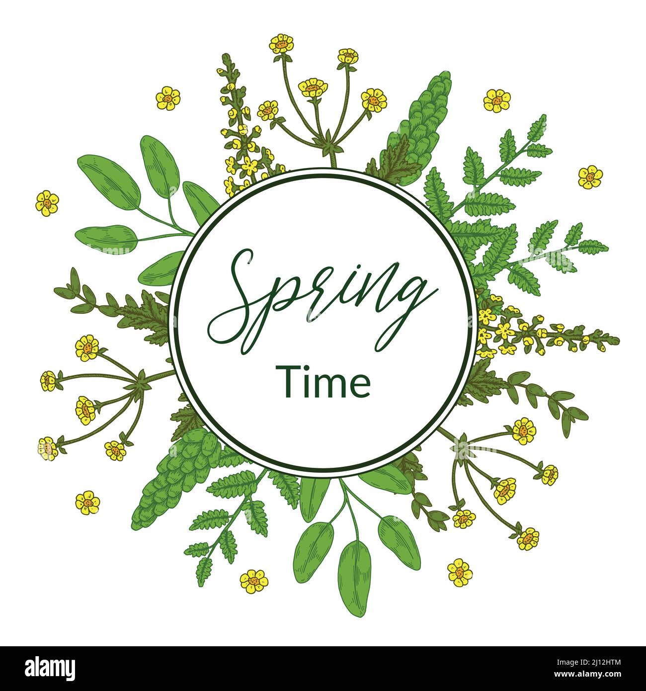 Cadre vert fleuri de printemps avec fleurs de prairie. Illustration vectorielle dessinée à la main Illustration de Vecteur