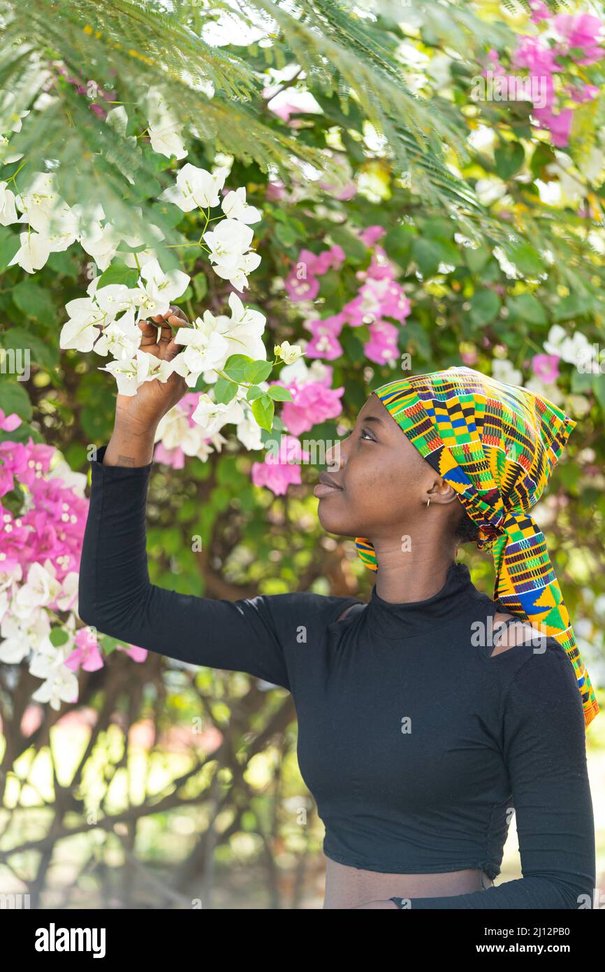 Magnifique fille africaine debout sous un magnifique arbre de bougainvilliers en admirant les fleurs roses et blanches, symboles de beauté, de puissance et de renaissance de nat Banque D'Images
