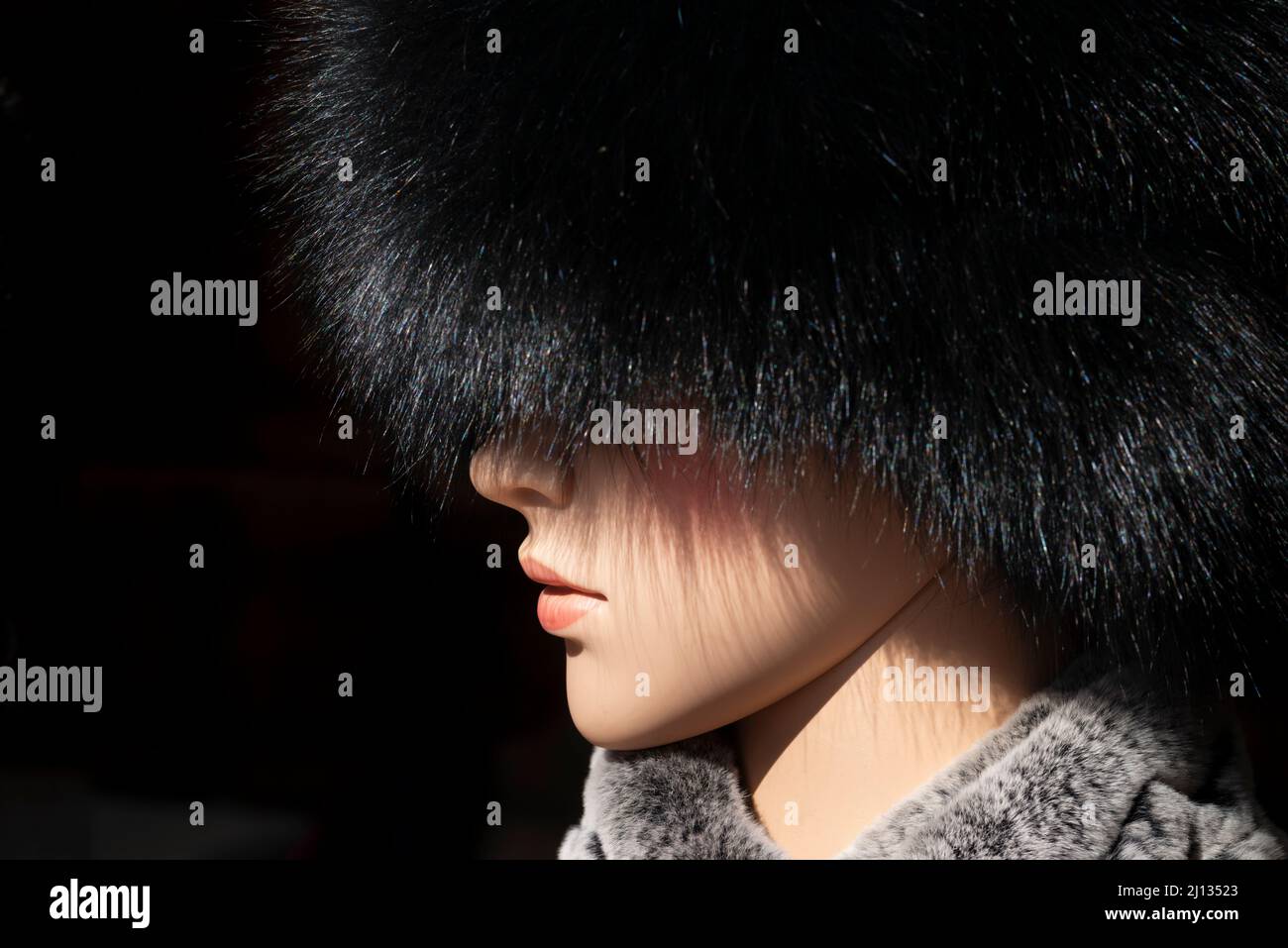 Mannequin portant un chapeau de fourrure et un col Banque D'Images