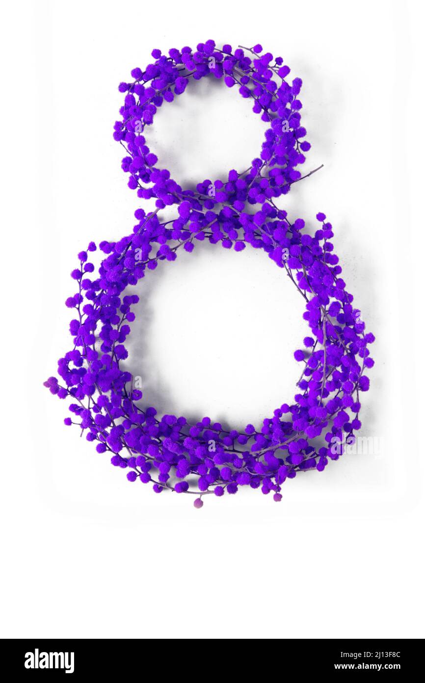 Égalité des sexes et symbole de la JIF. Huit chiffres violets faits de fleurs de printemps mimosa branches isolées sur blanc Banque D'Images