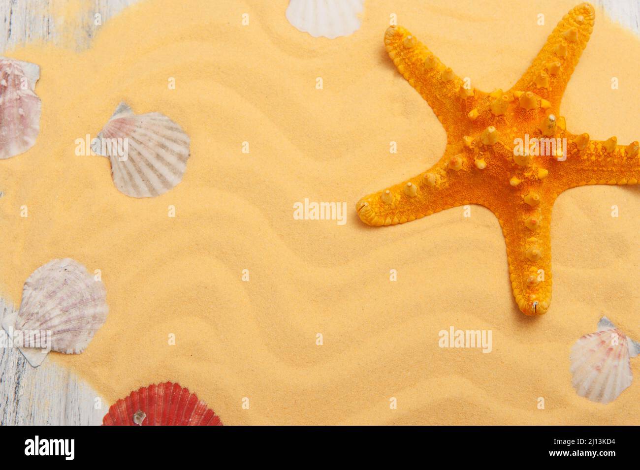 Fond marin avec étoiles de mer orange et sable jaune. Banque D'Images