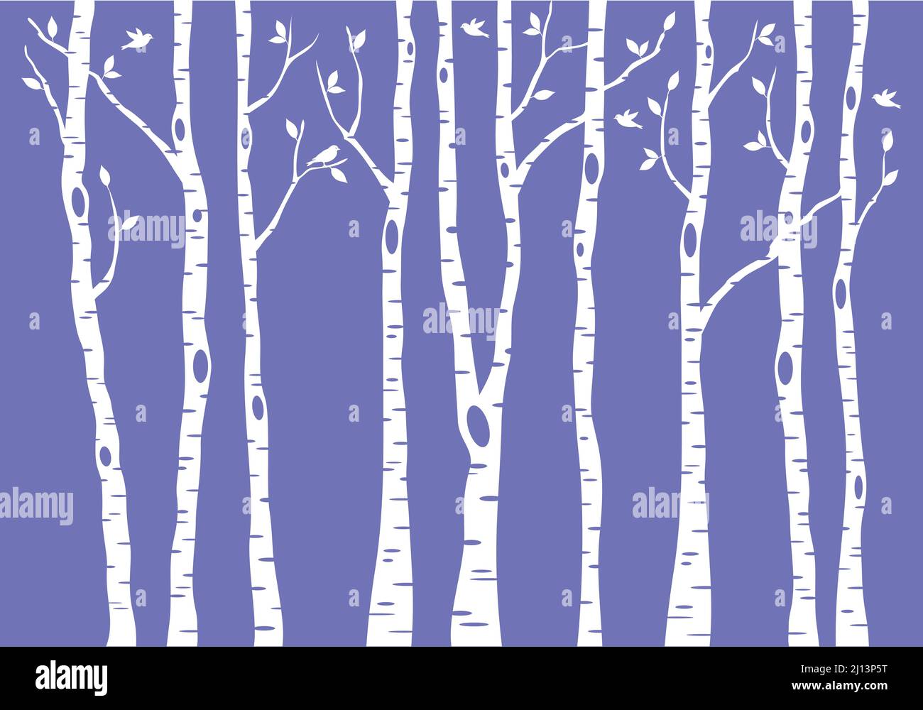 forêt de bouleau avec oiseaux, illustration vectorielle sur fond très violet de péri Illustration de Vecteur