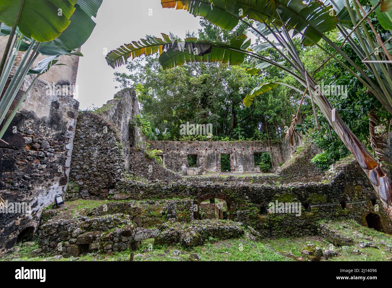 Ruines de la plantation de la Pagerie - les trois-Ilets, Martinique Antilles françaises Banque D'Images