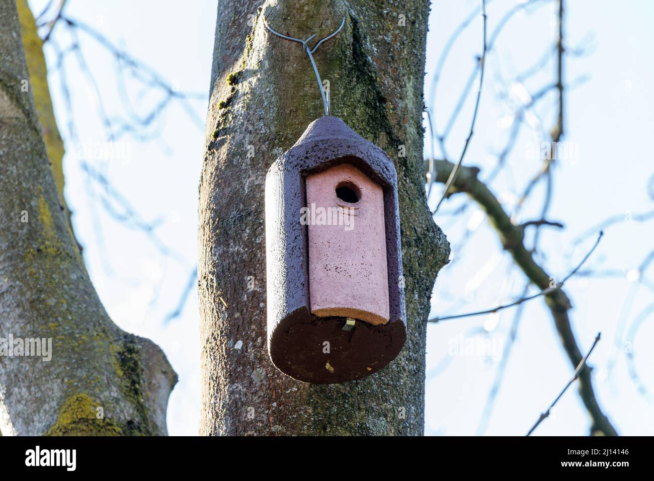 Une boîte de nidification d'oiseaux à Sunnyside Gardens, dans le nord de Londres, au Royaume-Uni Banque D'Images