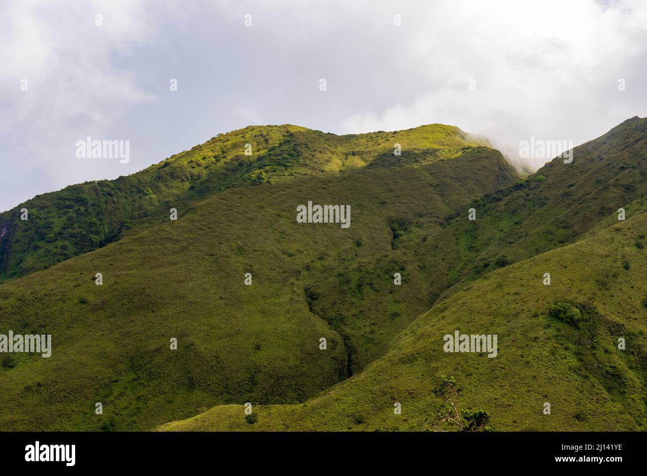 Randonnée jusqu'au sommet du Mont Pelée, Martinique, Antilles françaises Banque D'Images