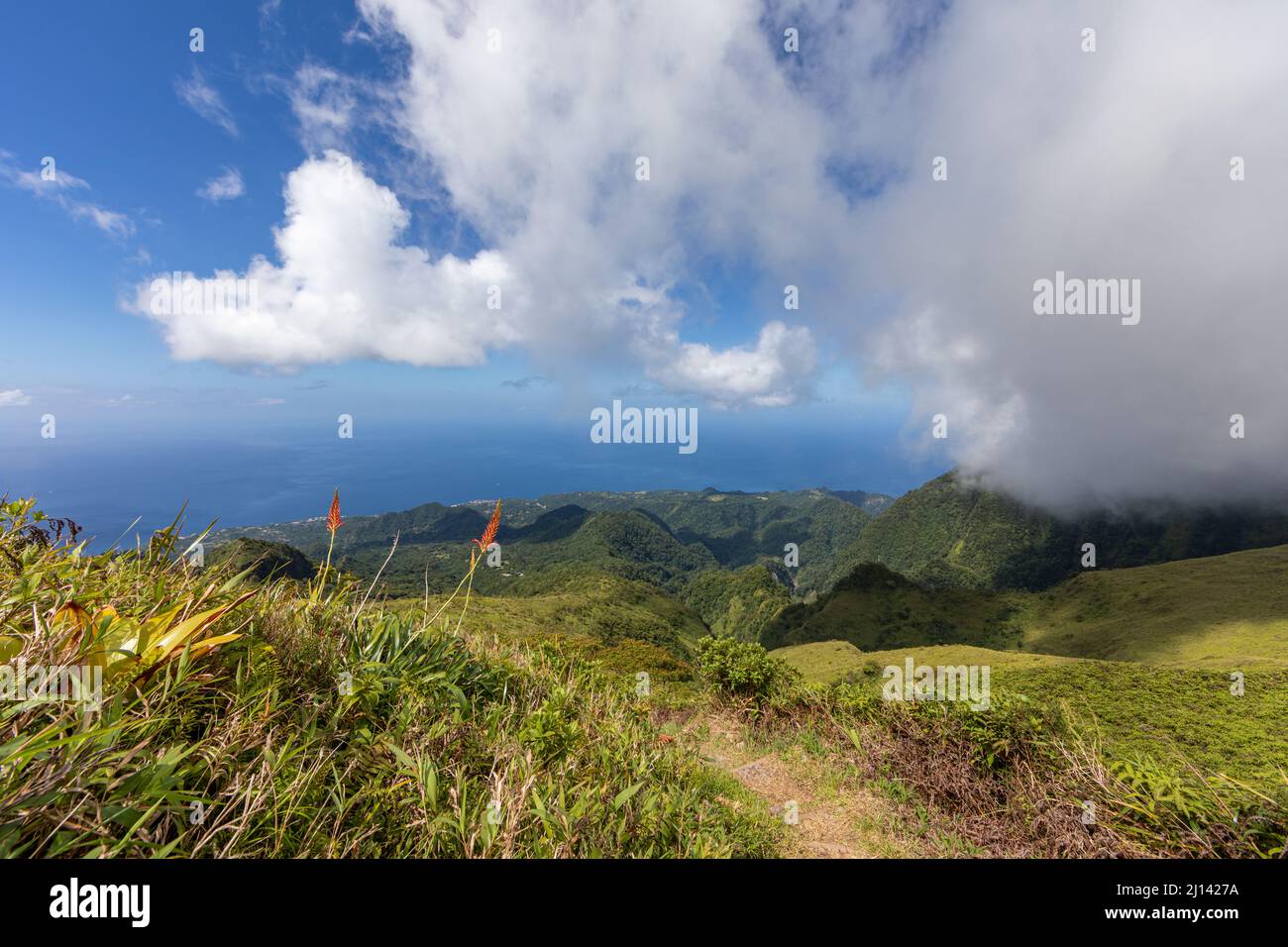 Randonnée jusqu'au sommet du Mont Pelée, Martinique, Antilles françaises Banque D'Images