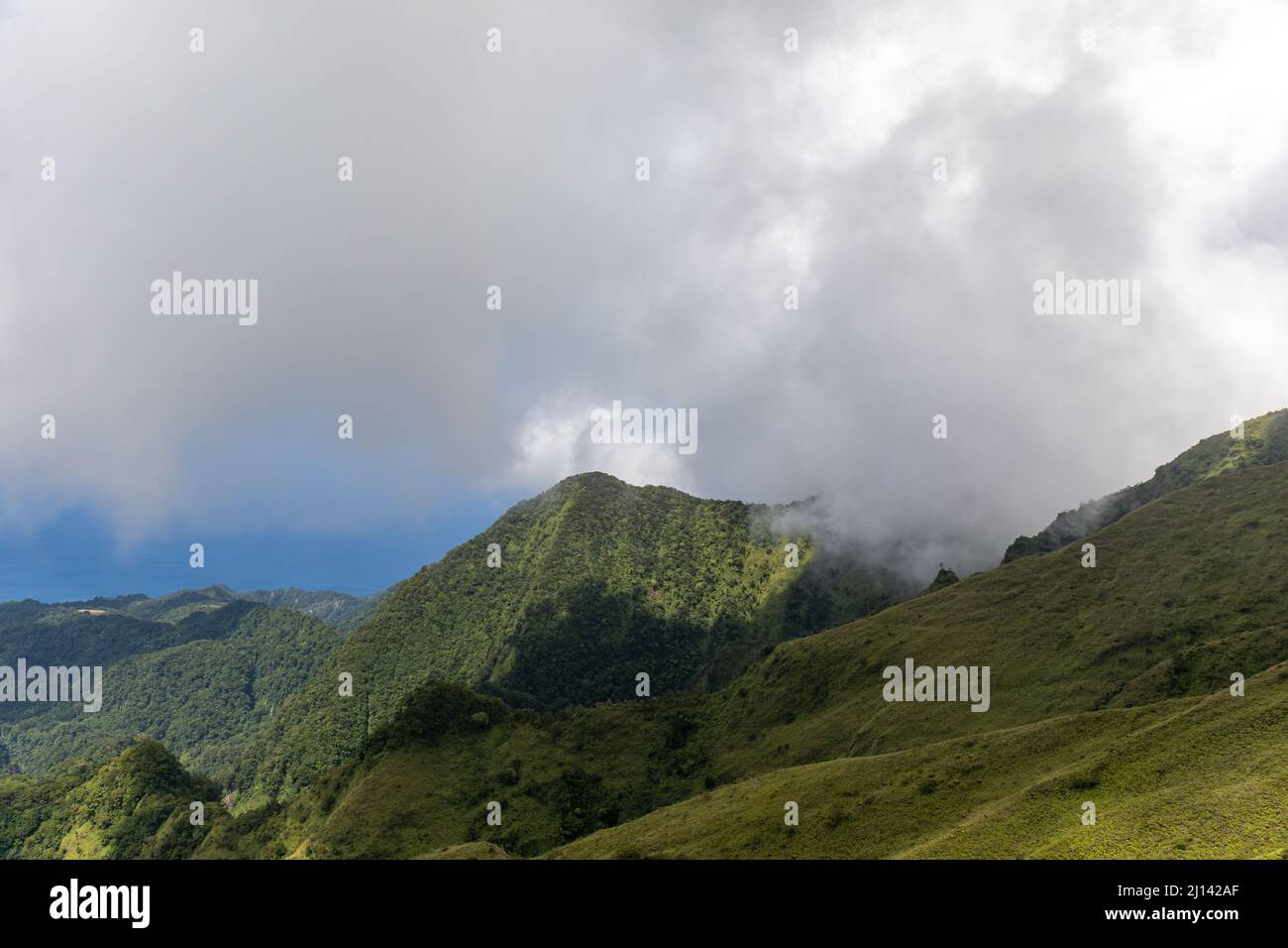 Randonnée jusqu'au sommet du Mont Pelée, Martinique, Antilles françaises Banque D'Images